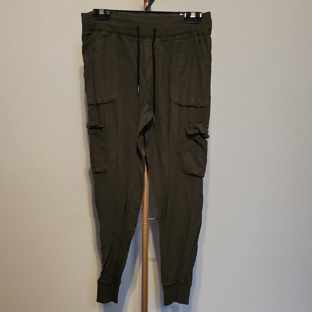 Aritzia Comminity Olive Cargo Jogger Pants
